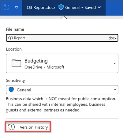 Microsoft Office document details menu with Version History highlighted.
